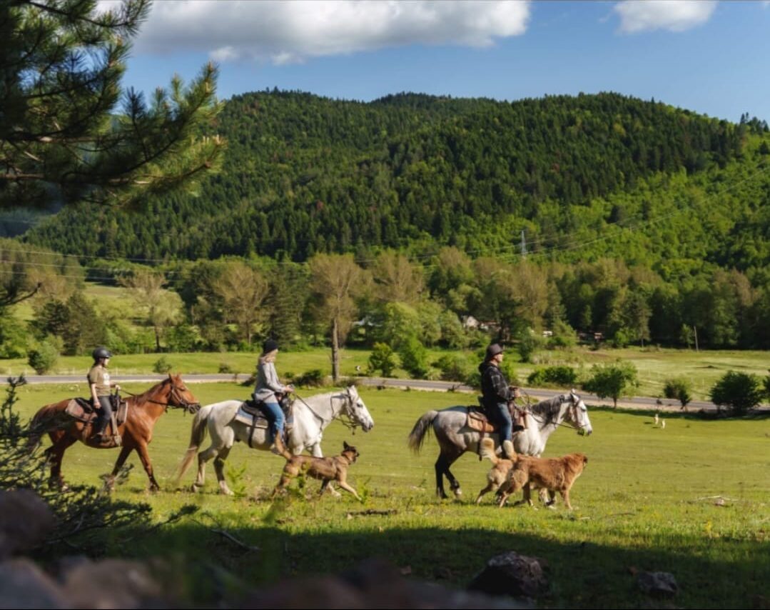 3 personnes sur les chevaux
