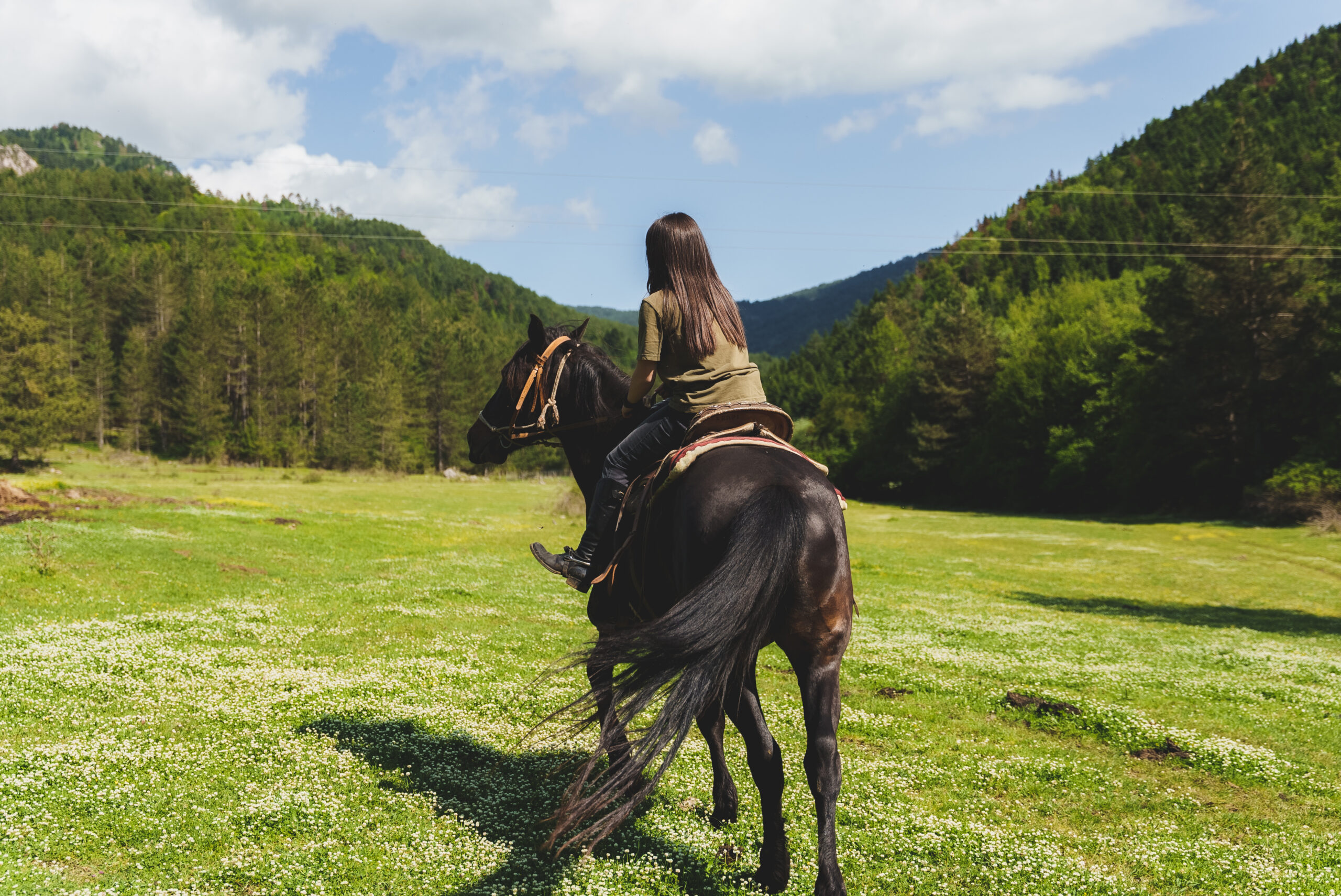Fille sur le cheval
