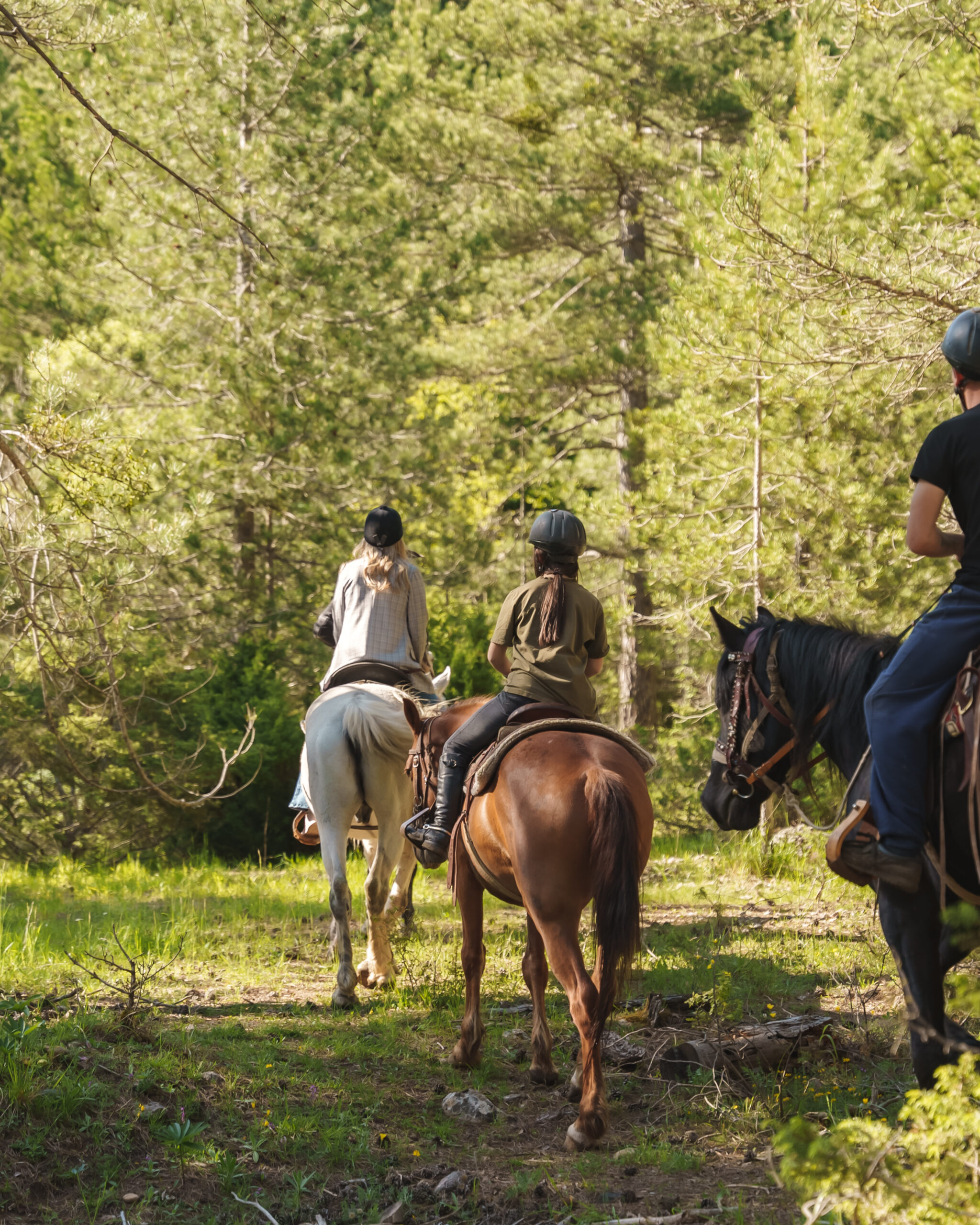 plusieurs personnes sur les chevaux