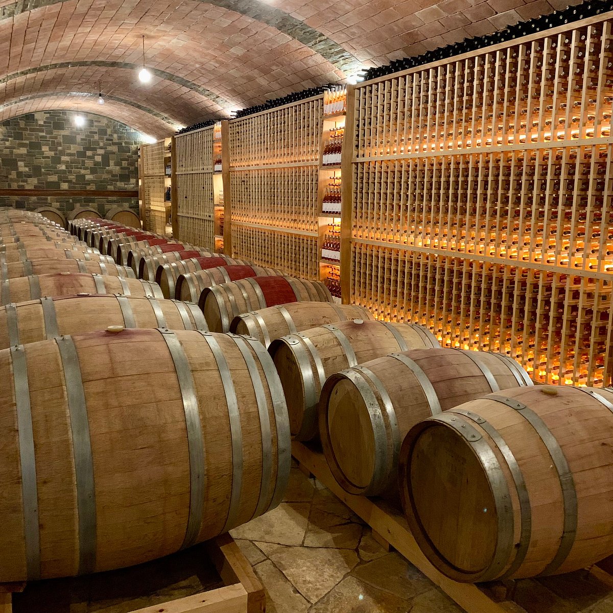 the barrels -kantina pupa