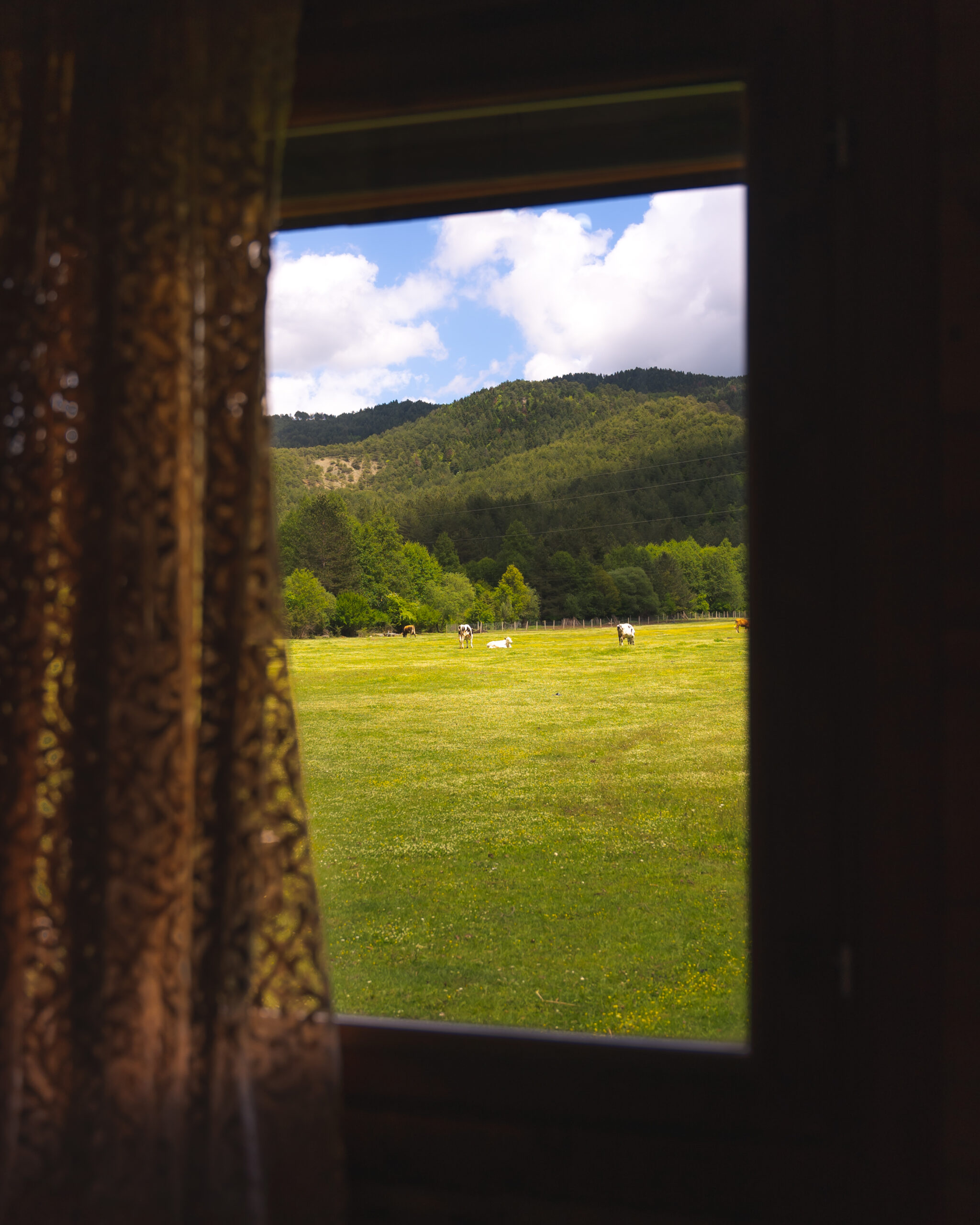 vue par la fenetre farma sotira